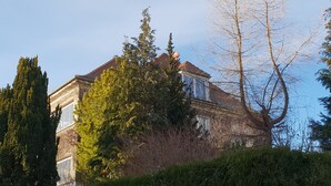 A traditional building with a brick facade, large windows, and a prominent tree in the foreground. - Apartment with flair in the south of Dresden (Plauen)