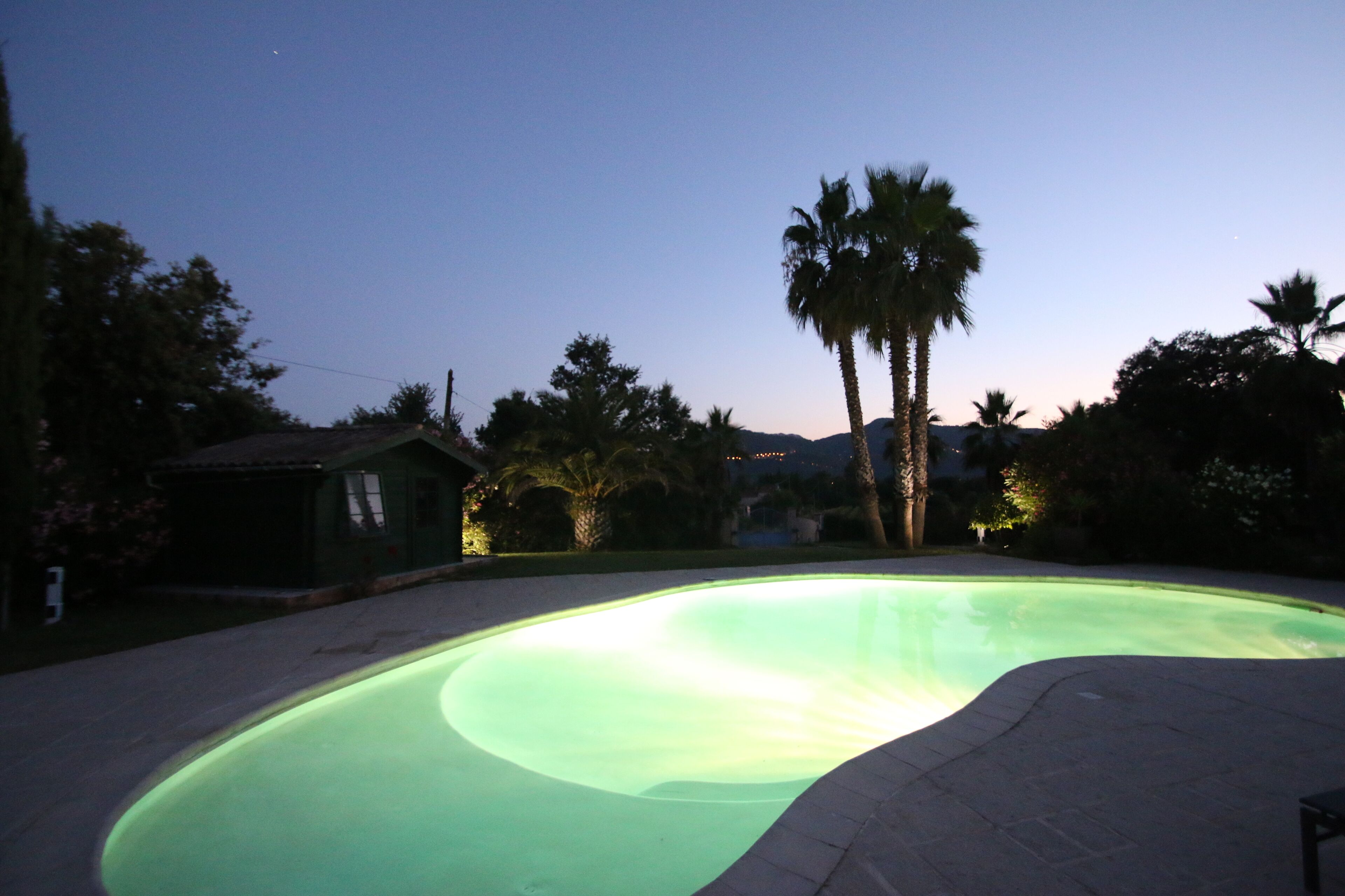 A swimming pool with a curved edge, surrounded by palm trees and a small shed.