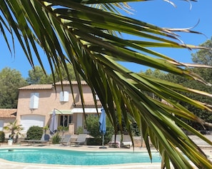 Pool - Collinette's'oasis (Solliès-Pont)