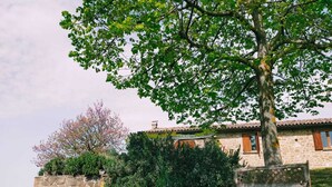Un edifici de pedra amb teulada d'àmples rajoles, una banca i un arbre de fulles verdes.