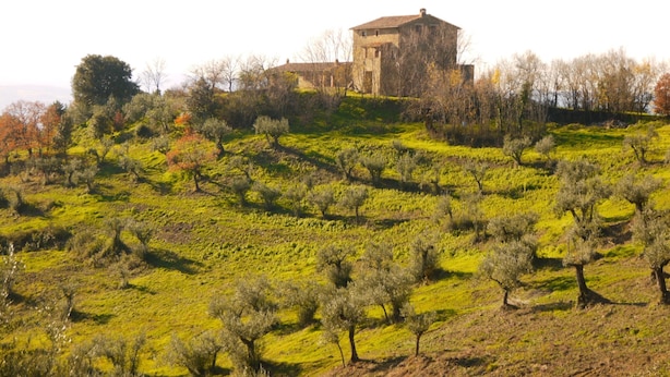 Un edifici amb façana de pedra, envoltat d'oliveres i un paisatge amb gespa.
