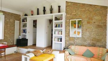 Fernseher, Kamin, DVD-Player, Bücher