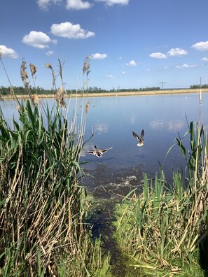 Imagen sin descripción, 4 de 73, botón