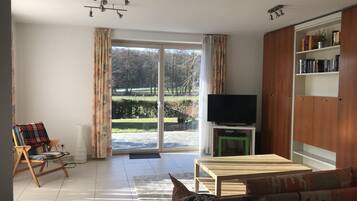 TV, DVD player, books