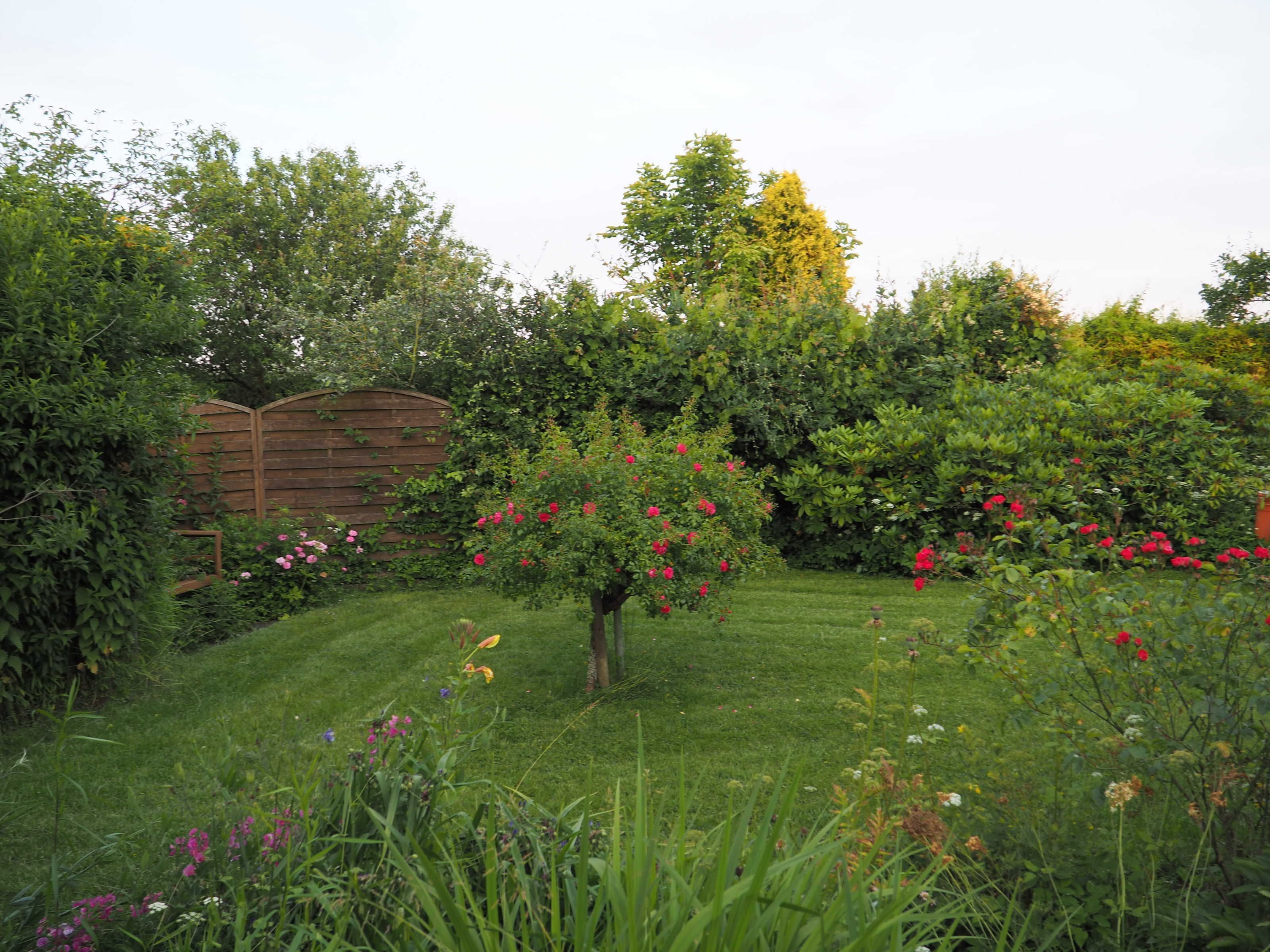Een goed onderhouden tuin met diverse bloeiende planten en een verzorgd gazon.