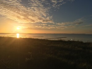 Auringonlasku tyynen vesistön yllä, etualalla ruohikko ja kauempana rannikko.