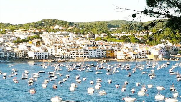 Uma vila costeira com muitos barcos na água e edifícios ao fundo.