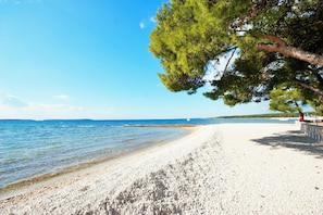 Playa en los alrededores y camastros