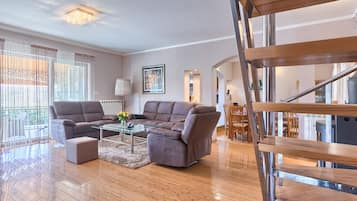 TV connectée, cheminée, lecteur de DVD, chaßne hi-fi