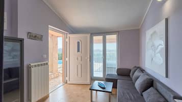 TV connectée, cheminée, lecteur de DVD, chaßne hi-fi