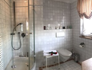 Une salle de bain moderne avec une douche à parois de verre, des toilettes et une petite table sur laquelle sont posés une serviette et des roses.