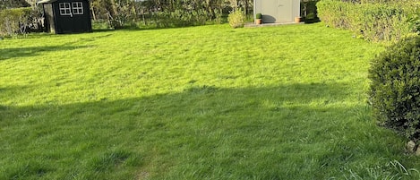 A well-maintained lawn with two sheds, surrounded by trees and a wooden deck.