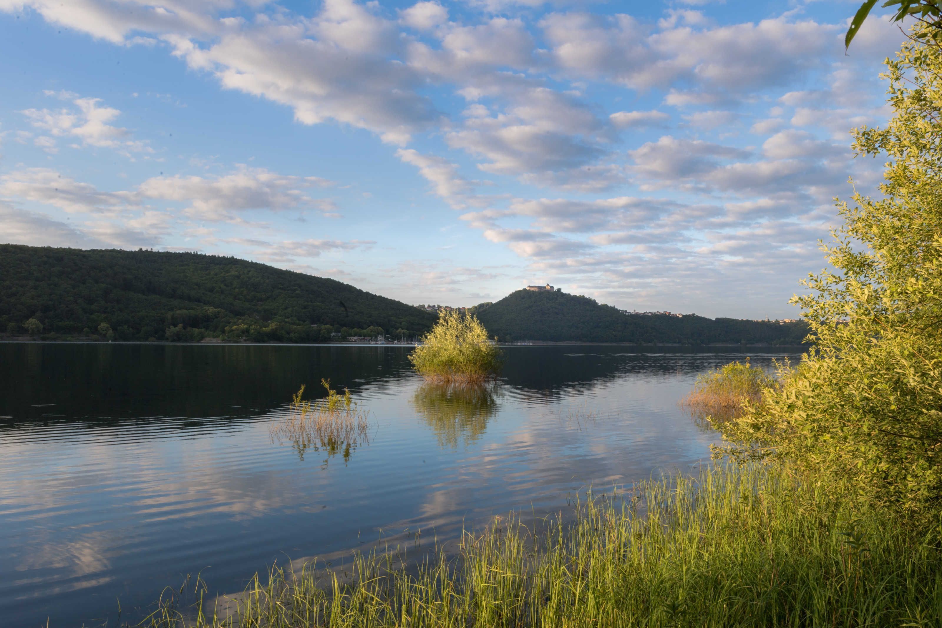 A calm lake with a small island, surrounded by lush greenery and hills.