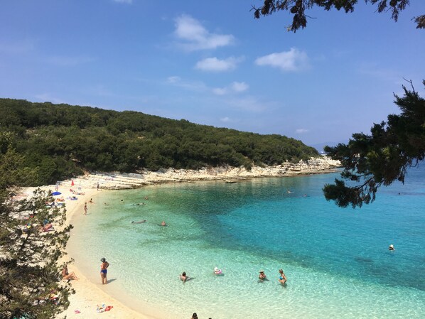 A beach with clear turquoise water, people swimming and sunbathing, and a forested hillside in the background. - Unique, luxurious villa with infinity pool and sea view, free WiFi (Kefalonia Fiskardo)