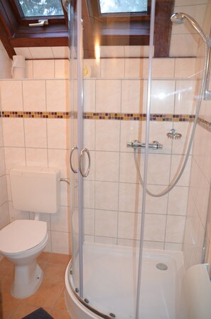 Shower, hair dryer, soap, toilet paper