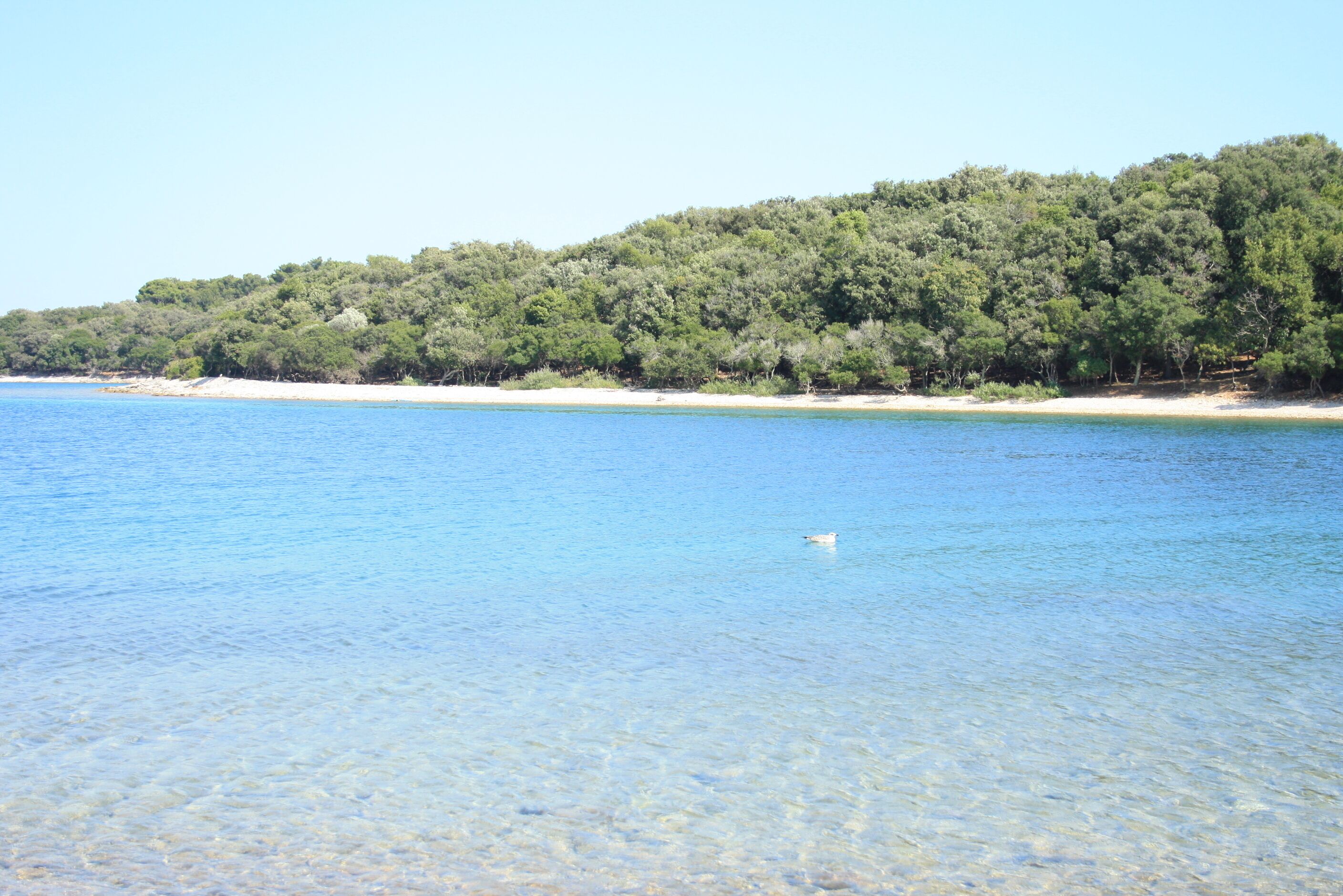 Una playa con agua cristalina, una orilla arenosa y una colina boscosa al fondo.