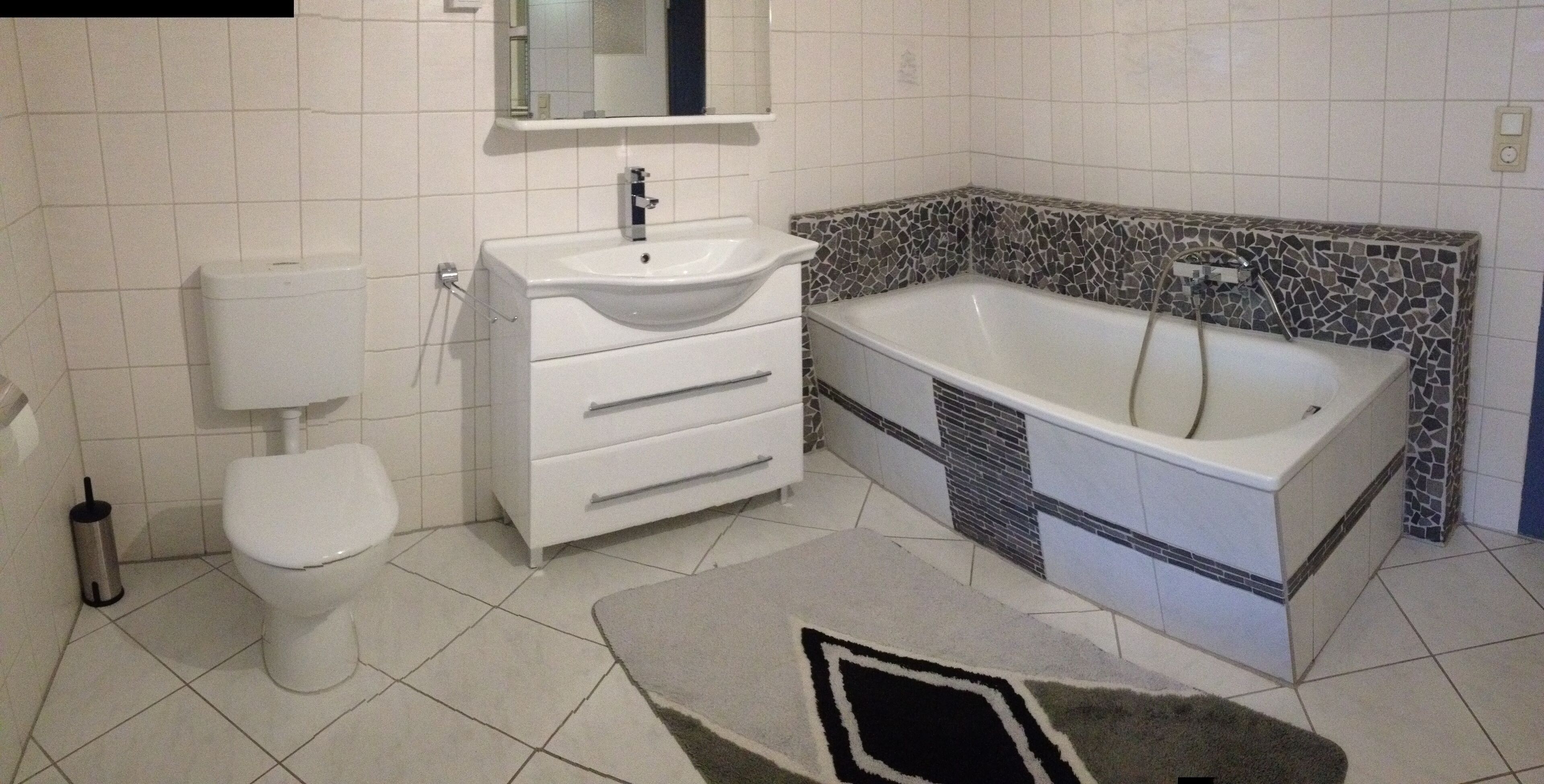 Duschwanne, Haartrockner, Seife, Toilettenpapier