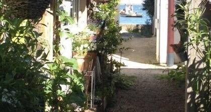 Appartement terrasse couverte â Presqu'Ăźle Cap Ferret, Piraillan avec jardin
