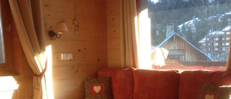 TV, DVD player, video library