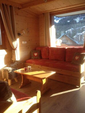 Tv, dvd-afspiller, videobibliotek