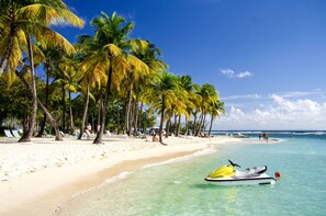 Ein Strand mit weißem Sand, Palmen und einem Jetski.