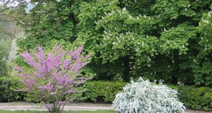 Character cottage (15 people) near Blois