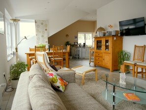 TV, DVD player, books, video library