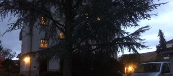Aviva (95 m2 Wohnung mit Terrasse)