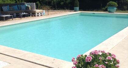 CHARMING GITE WITH POOL AT THE FOOT OF ALPIILES IN EYGALIERES
