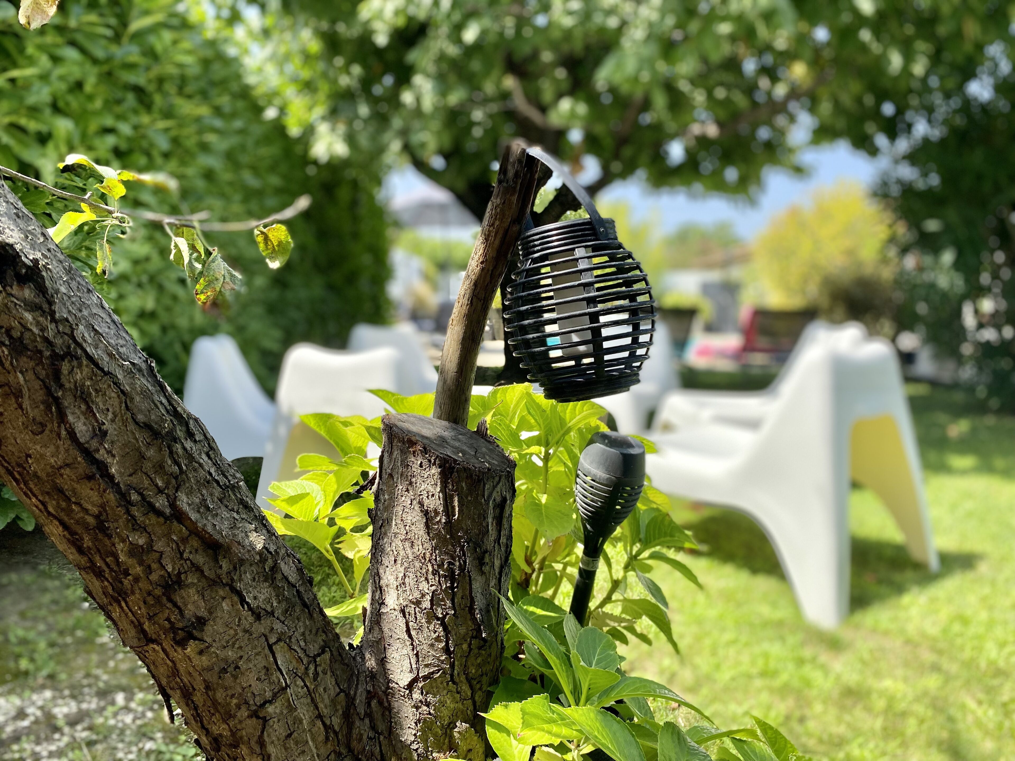 Terrein van de accommodatie