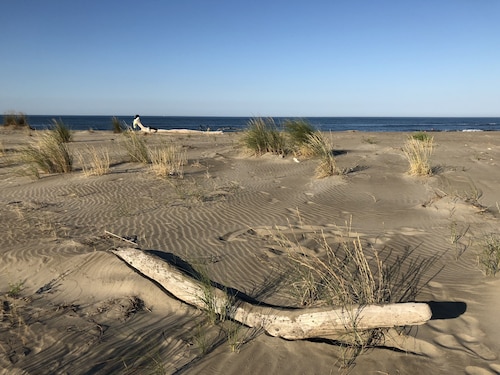 Maison avec Piscine Privée, Jacuzzi et Clim proche Nîmes Arles Camargue et mer !