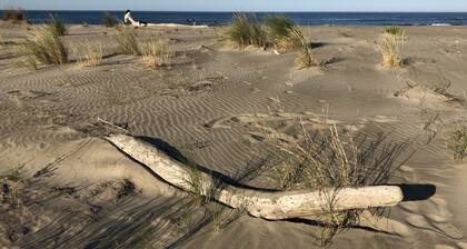 Maison avec Piscine Privée, Jacuzzi et Clim proche Nßmes Arles Camargue et mer !