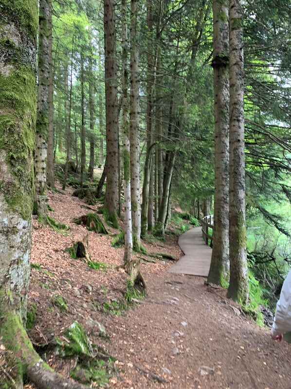 Jardines del alojamiento