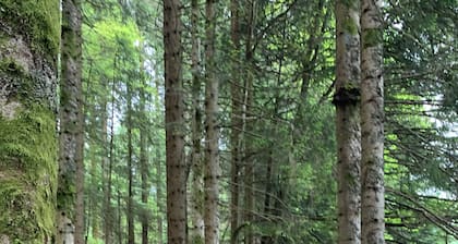 Gîte *** "Le Clos du Mapré" with Pool- Spa-Hammam, 3 bedrooms