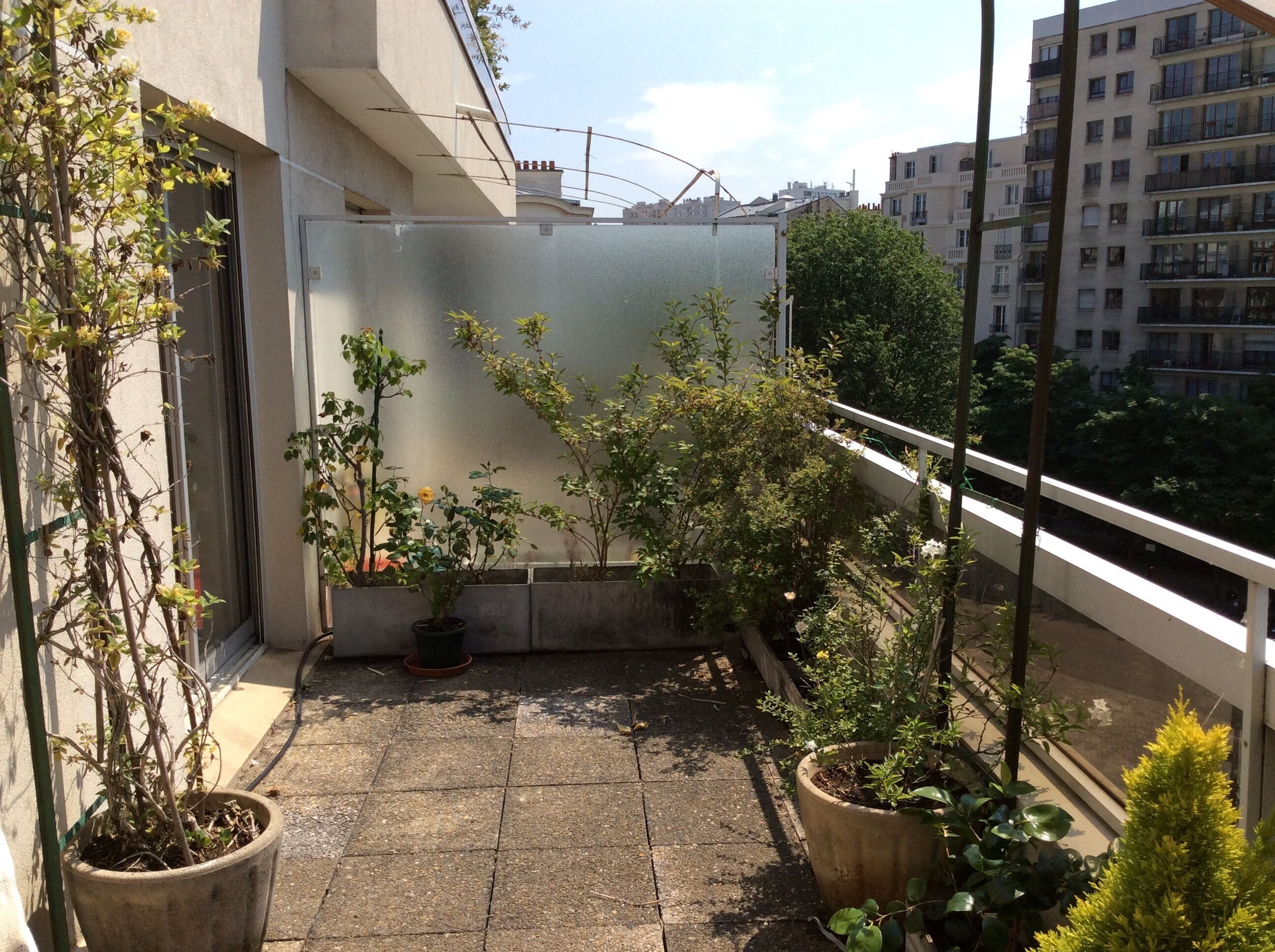 Un pequeño balcón con plantas en macetas y vistas de edificios cercanos.