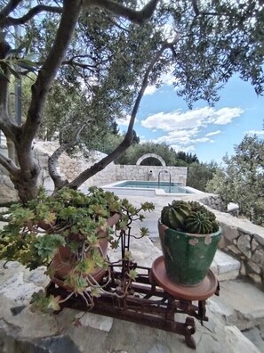 A stone wall, a pool, and potted plants. - Villa Pina in Makarska, private pool (Makarska)