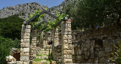 Villa Pina in Makarska, private pool