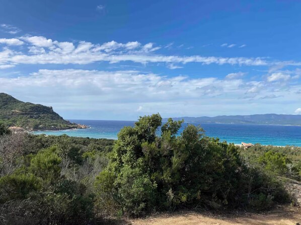 Un paysage côtier offrant une vue dégagée sur la mer, un terrain vallonné et une végétation luxuriante au premier plan.
