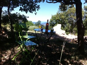 Una mesa con una botella y un vaso, rodeada de árboles y una vista despejada del paisaje.