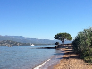 Plage, chaises longues