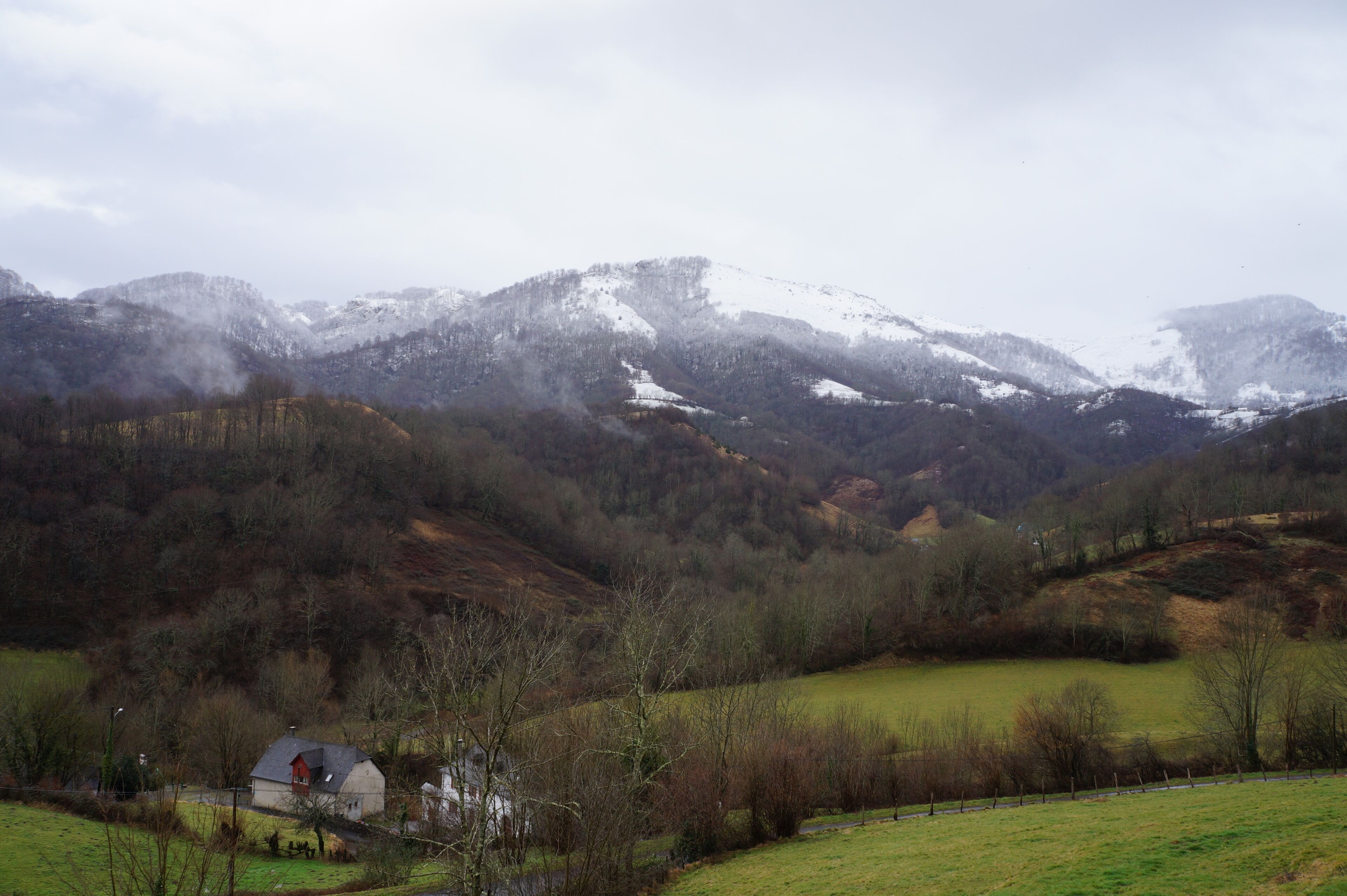 A rural landscape with a house surrounded by fields and mountains.