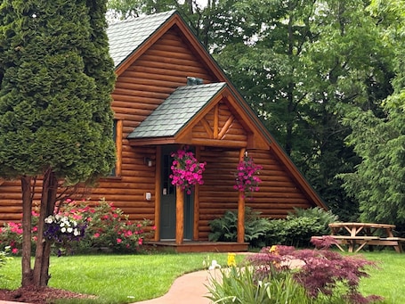 A wooden log cabin with a green door, surrounded by lush greenery and flowering plants.