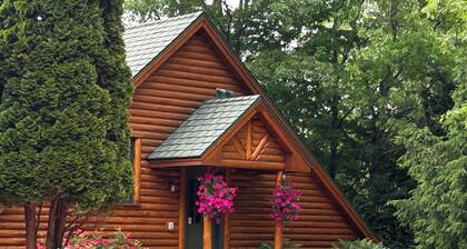 All Seasons Log Cabin Rental