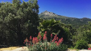 A clear blue pool with a wooden deck, surrounded by lush greenery and a mountain in the background. - CASA VERDE - VILLA **** - Heated swimming pool - Near L'Ile-Rousse beach (Monticello)