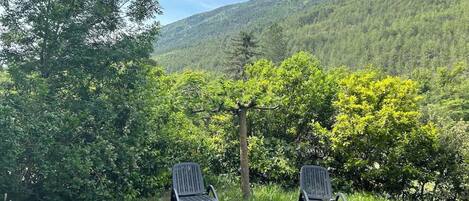 Two outdoor lounge chairs in a grassy area with a forested mountain backdrop.