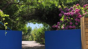 Un sentier qui traverse un portail bleu, bordé d’une végétation luxuriante et de fleurs violettes.