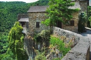 Exterior - Restored 17th century sheepfold with large grounds and private pool (Nant)