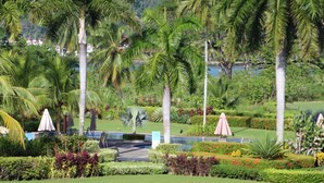 Un exuberante jardín con palmeras, una piscina y zonas de estar al aire libre.