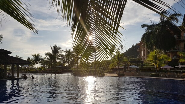 Una piscina con palmeras y un edificio al fondo.