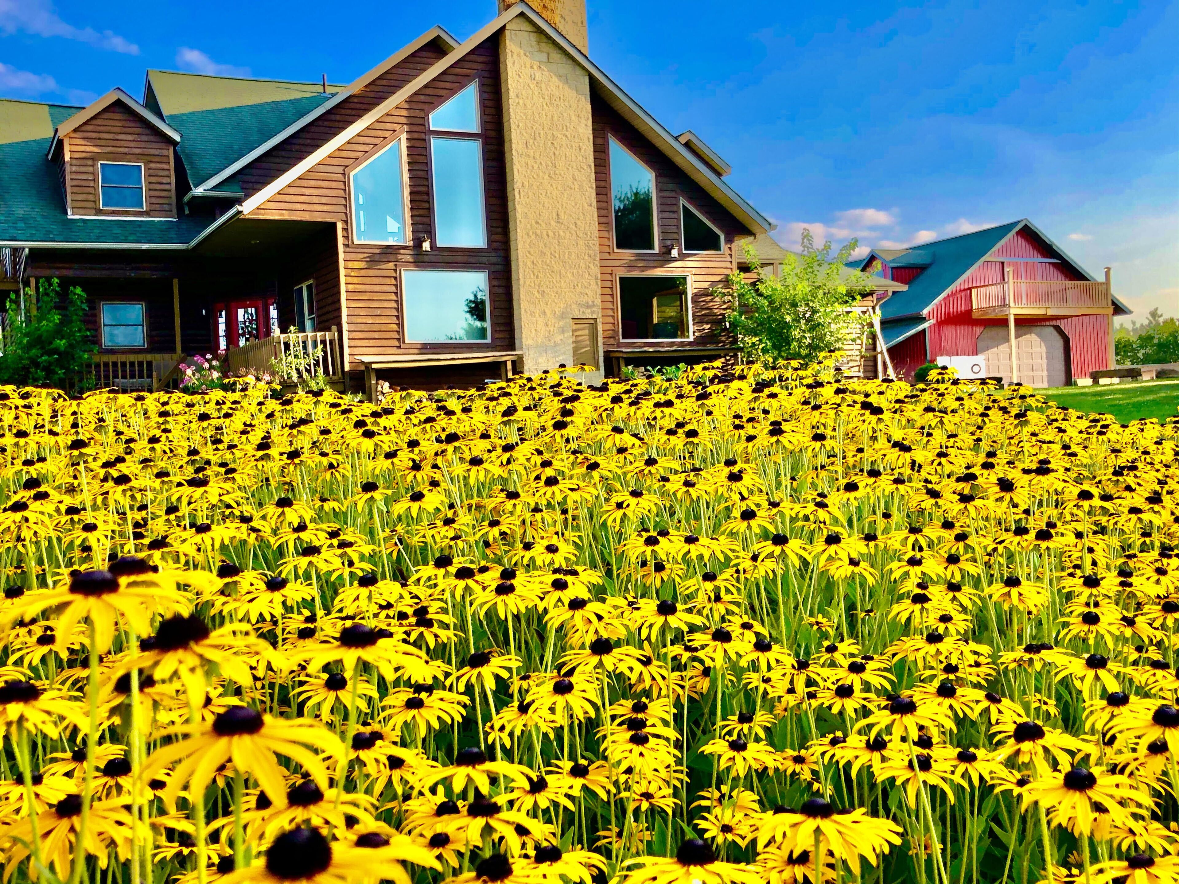 Ultimate Man Cave Lodge Experience